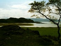Foto  036